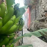 House Of The Sun